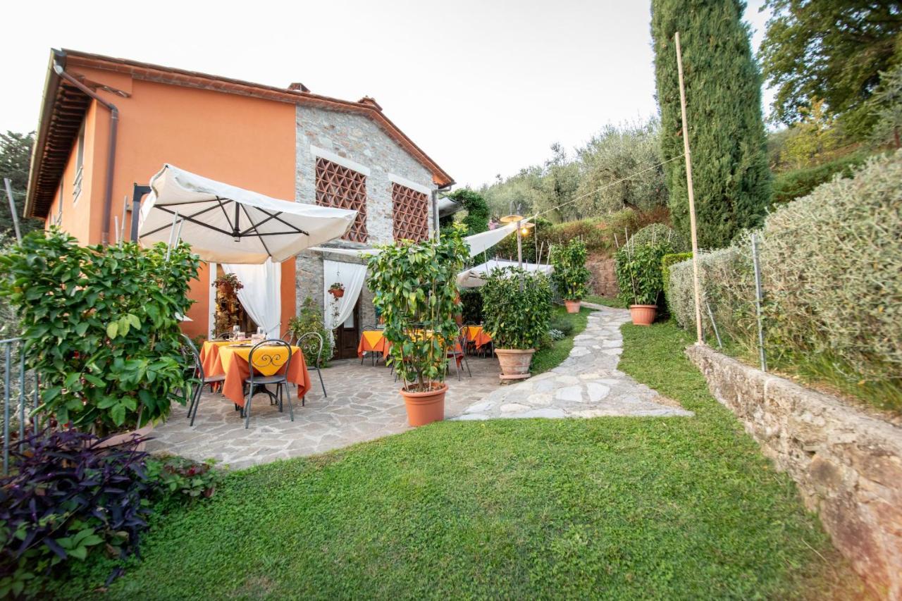 Casetta Di Butia, Mimosa Apartment Borgo a Mozzano Exterior photo